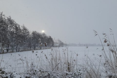 Winter in Butjadingen